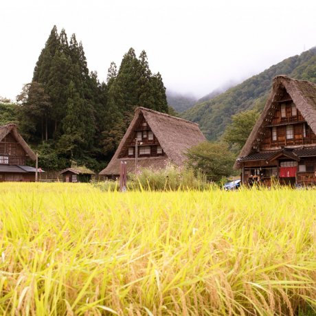 World-class Road Trip Between Tokyo & Osaka World-class Road Trip Between Tokyo & Osaka