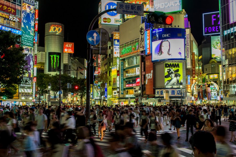 The 23 City Wards of Tokyo