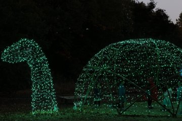 Fall Illumination Shinrin Park