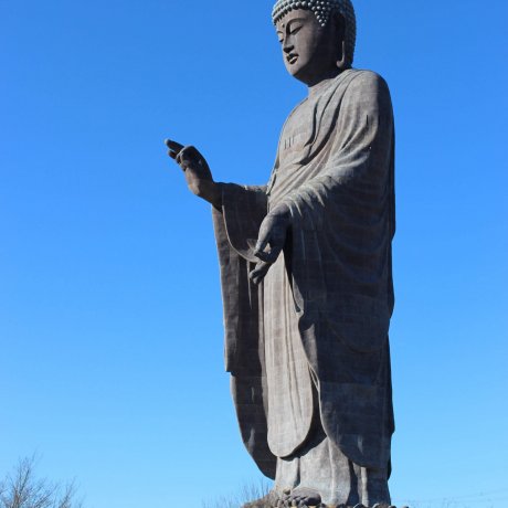 Ushiku Daibutsu New Year Events Ushiku Daibutsu New Year Events
