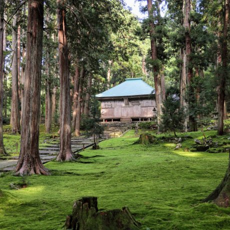 4 Days in Fukui and Shiga: Venturing South 4 Days in Fukui and Shiga: Venturing South