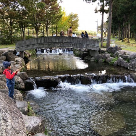 Yuzawa Fishing Park Yuzawa Fishing Park