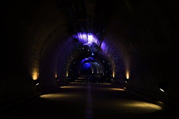 Daigo Light-up Waterfall and Tunnel