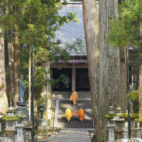 The Sweet Soul of Wakayama The Sweet Soul of Wakayama