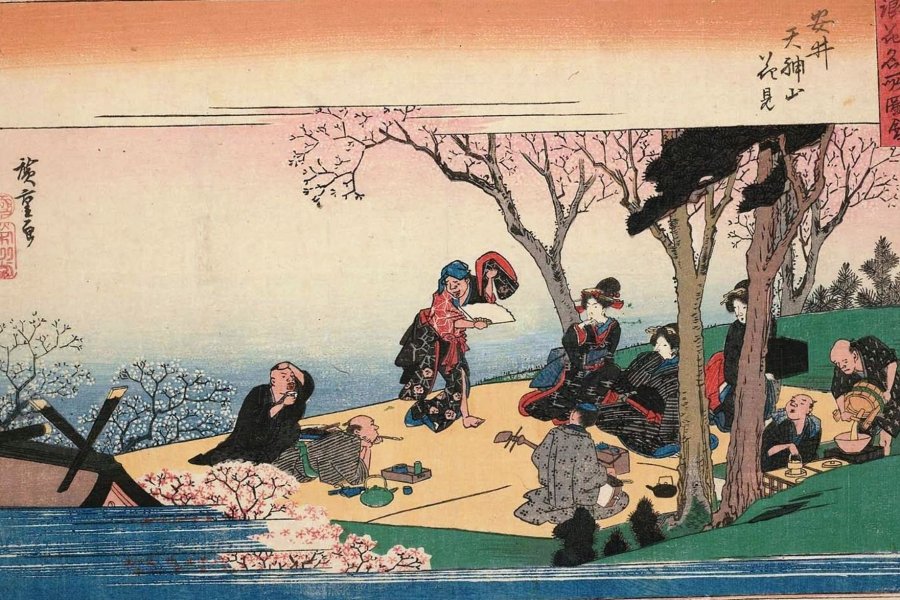 The Story of Hanami