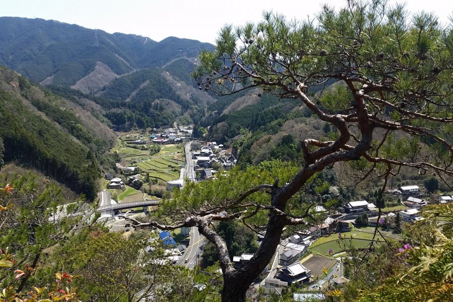 Amami Village