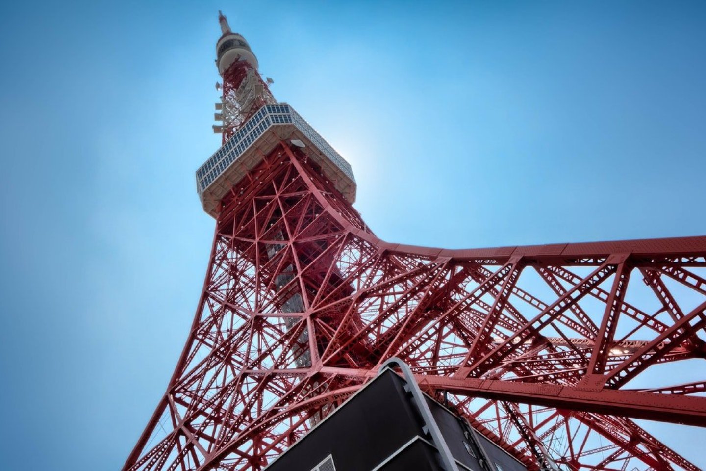 TELL Tokyo Tower Climb