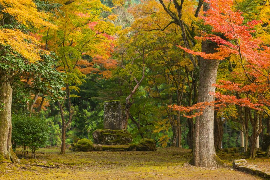 Autumn Leaves at Kogenji Temple