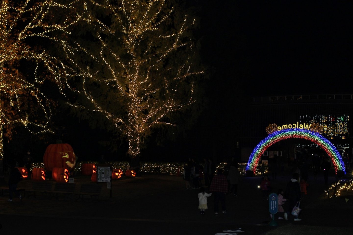 Halloween Night in the Forest