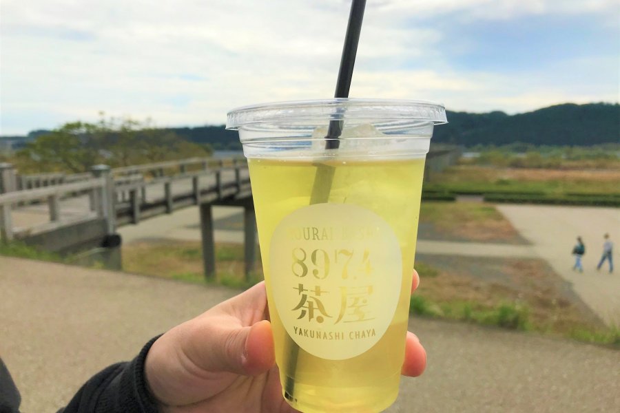 Shimada City: Green Tea Day Out