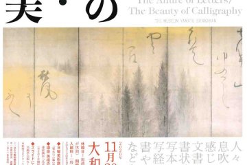 The Allure of Letters and the Beauty of Calligraphy