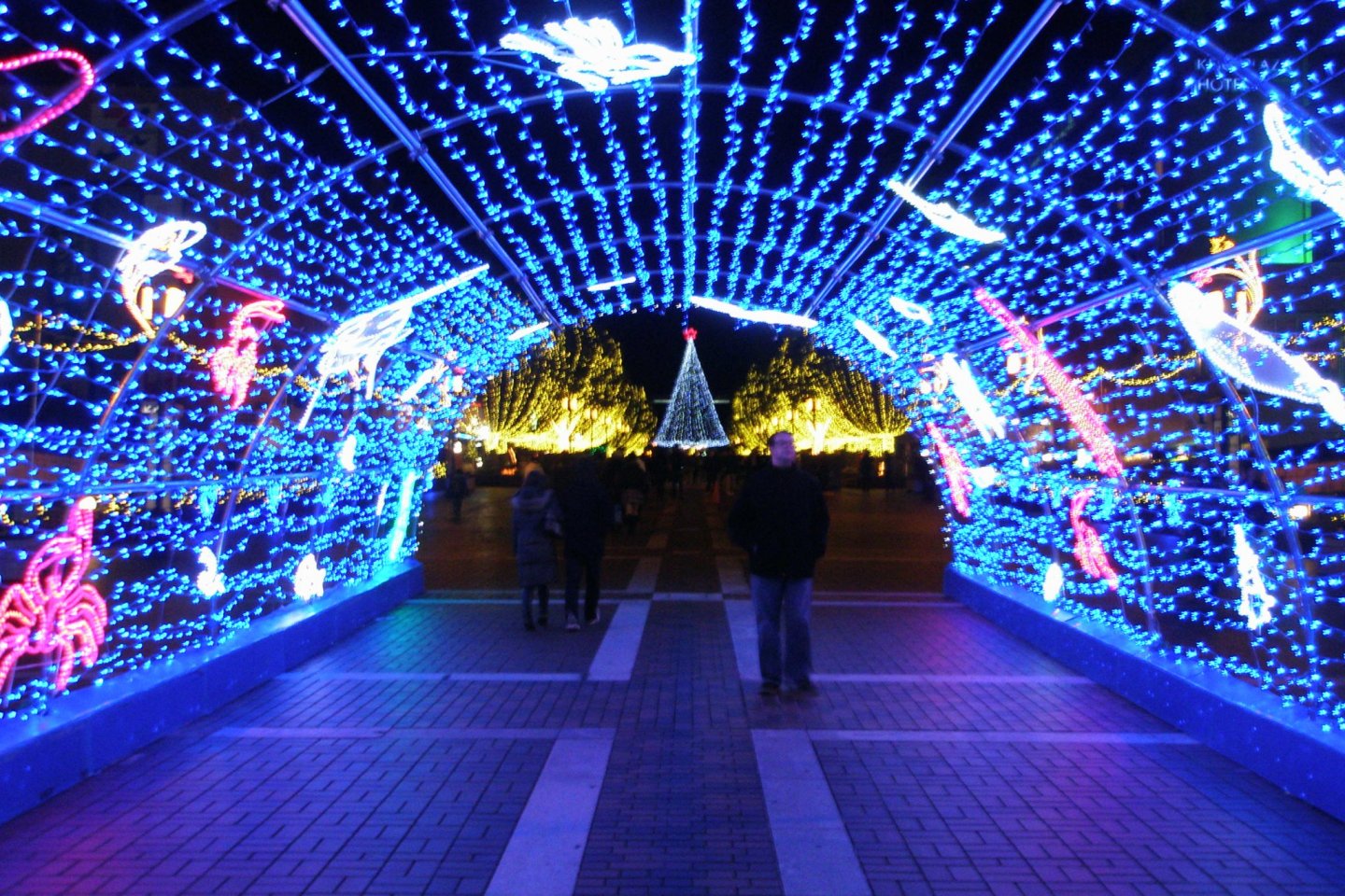 Tama Center Illumination