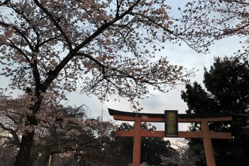 Hirano Shrine Okasai