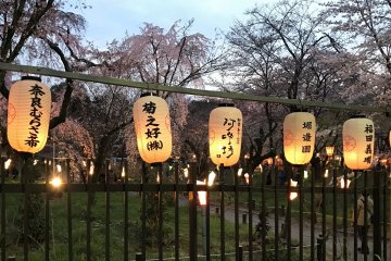Hirano Shrine Okasai