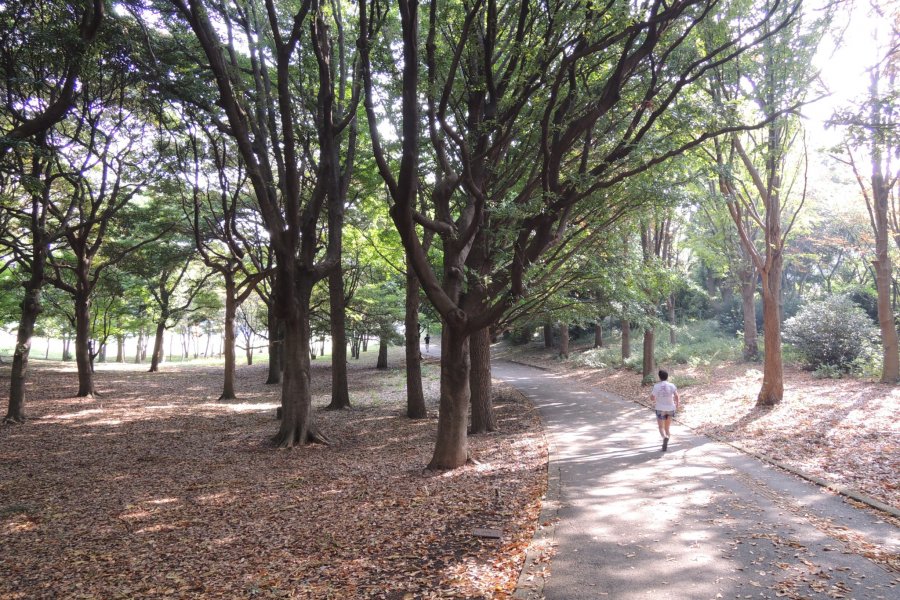 Negishi Shinrin Park, Yokohama