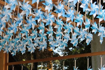 Pinwheels at Kawagoe Hikawa Shrine