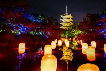 TeamLab Toji Light Festival