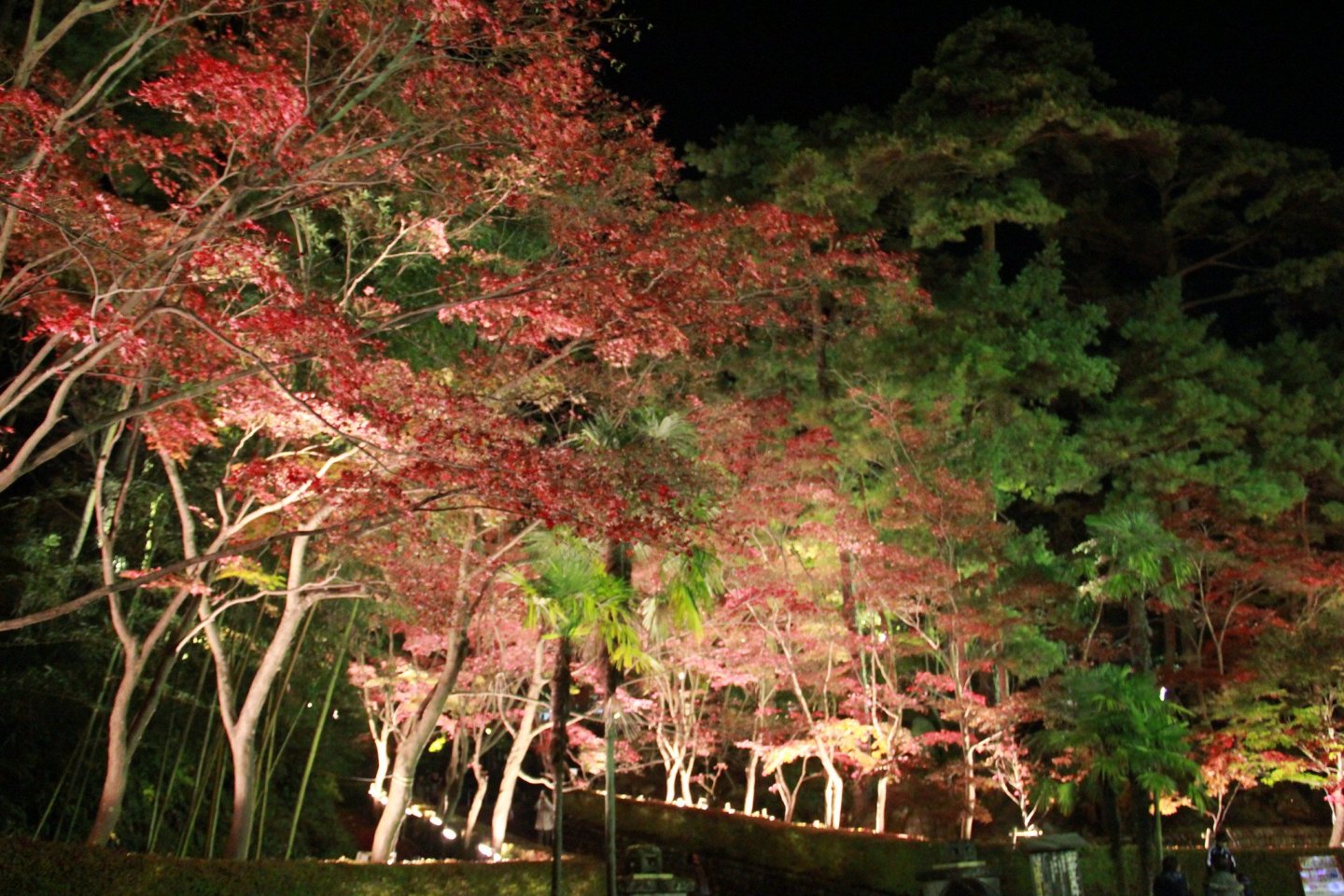 Shounsanso Autumn Leaves Light-up