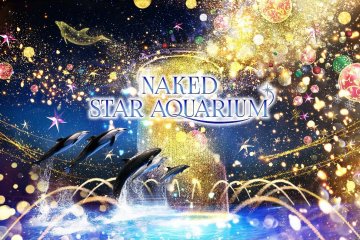 Naked Star Aquarium