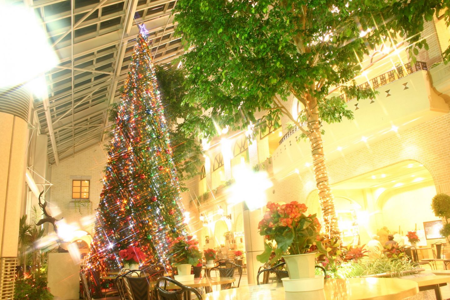 Awaji Highway Oasis Illuminations