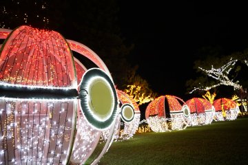 Okinawa Tropical Illuminations