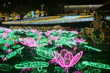 Okinawa Tropical Illuminations