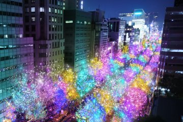 Osaka Light Festival