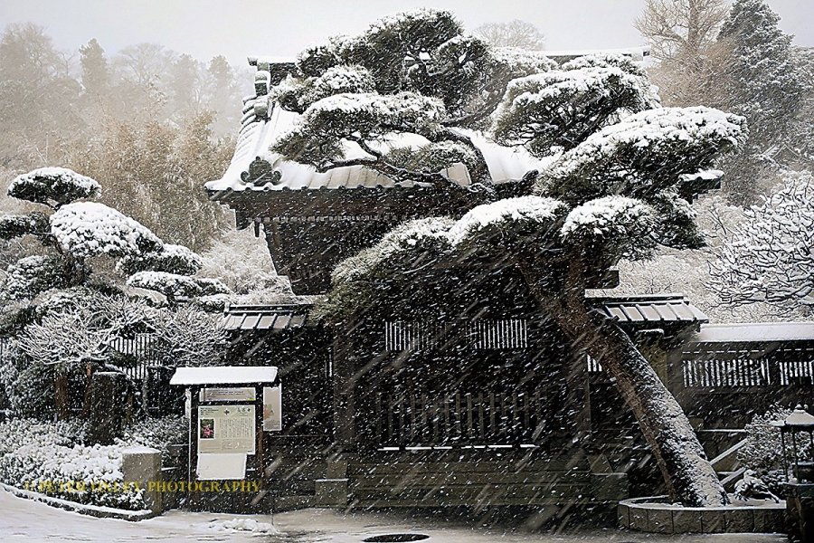 Kamakura Camera - Hasedera Temple