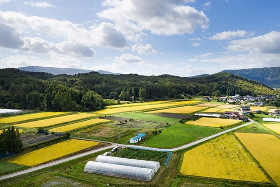 Top 10 Traditional Stays in Rural Japan