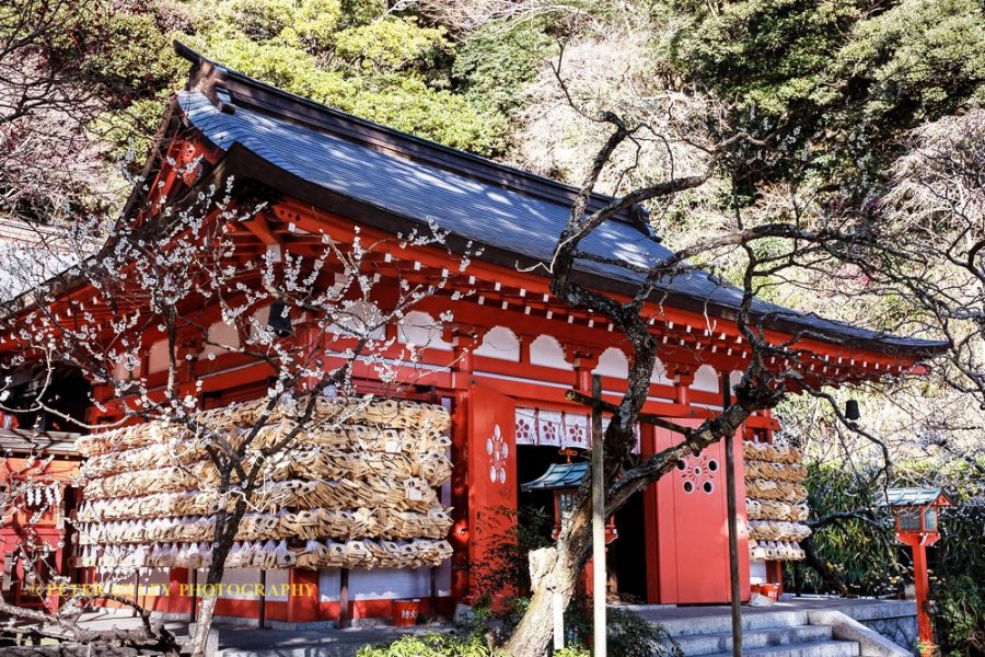 Kamakura Camera Egara Tenjin-sha Shrine