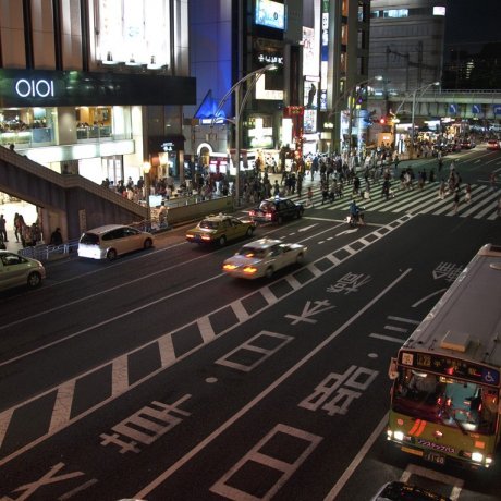 Night Walk at Ueno Night Walk at Ueno