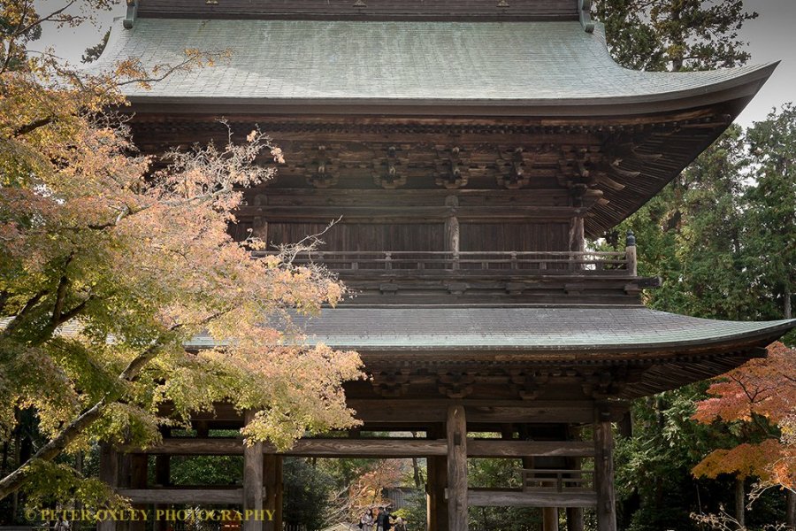 Kamakura Camera  -  Engakuji Temple 