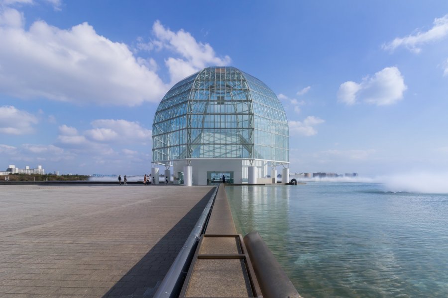 Tokyo Sea Life Park - Free Admission Day