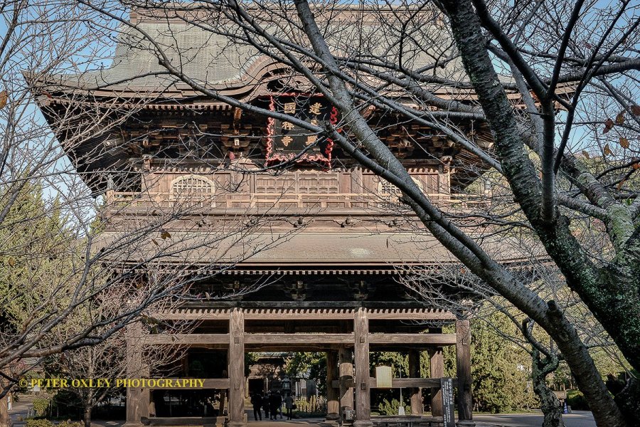 Kamakura Camera  -  Kenchoji Temple