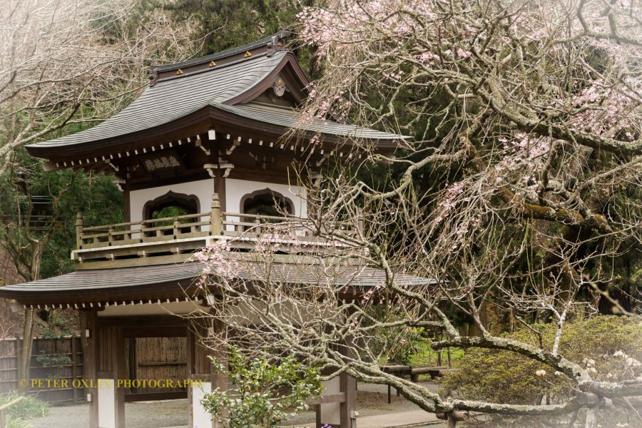 Kamakura Camera  -  Joichiji Temple