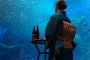 Sake Aquarium Night