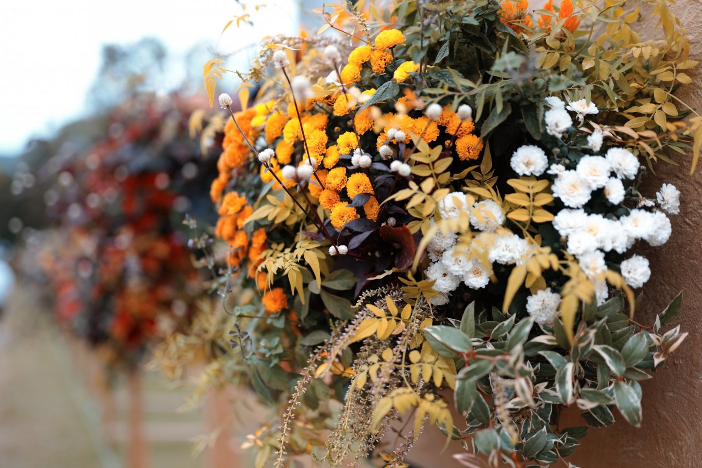 Hibiya Park Gardening Show