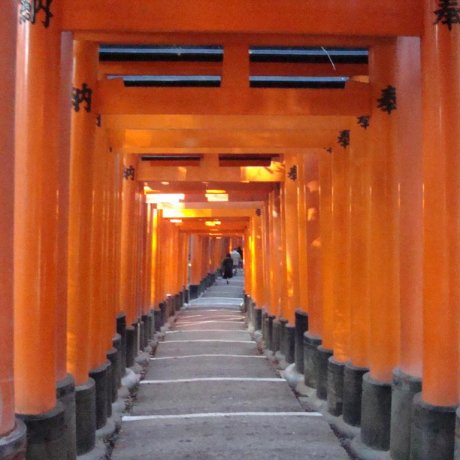 Getting to Know: Fushimi Inari Taisha Getting to Know: Fushimi Inari Taisha