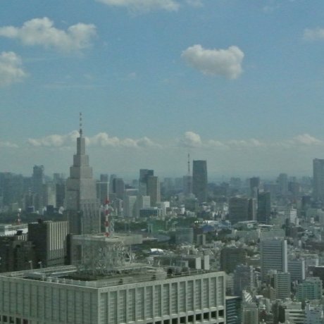 Metropolitan Government Building Metropolitan Government Building