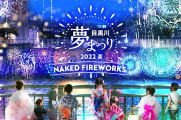Naked Fireworks at Meguro River