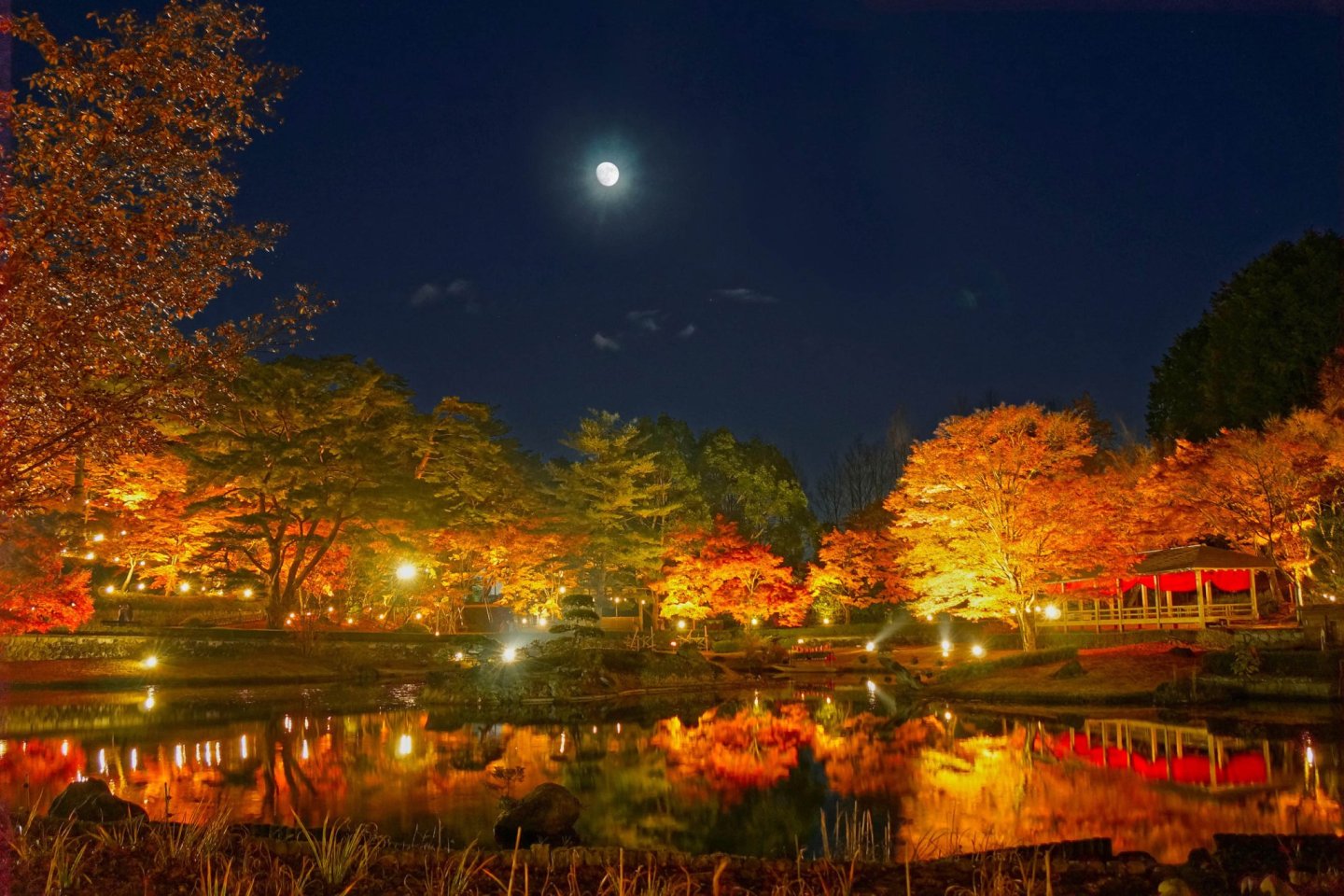 Shuzenji Niji no Sato Autumn Light Up