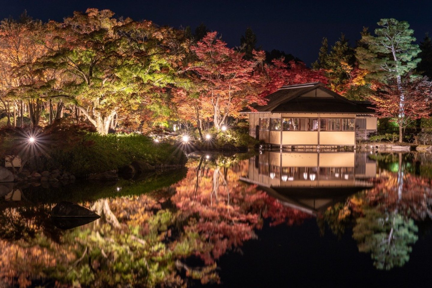 Night Walk at Showa Kinen Park