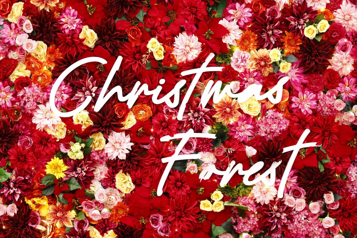 Yokohama Bay Quarter Christmas Forest