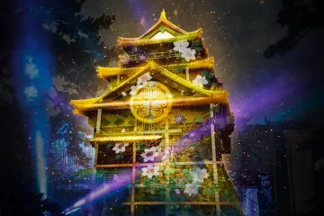 Okazaki Castle Otemon Projection Mapping