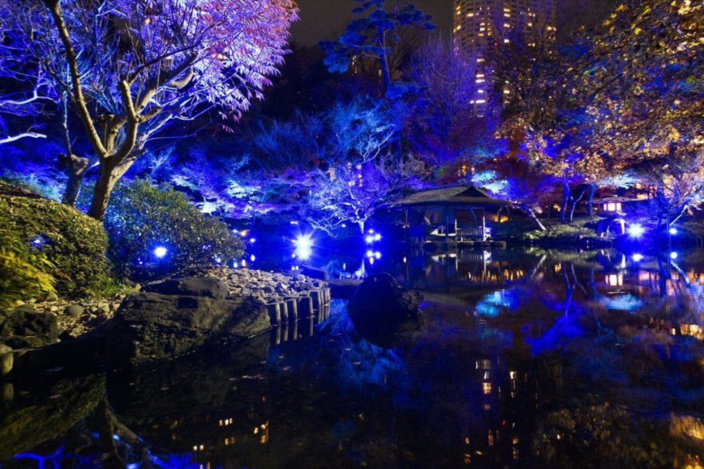 Tokyo Blue Garden Winter Festival