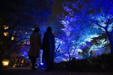 Tokyo Blue Garden Winter Festival