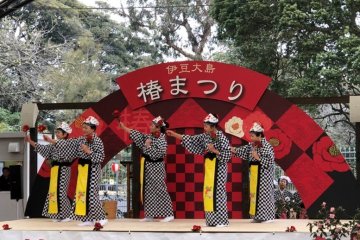 Izu Oshima Camellia Festival