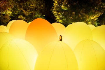 TeamLab Kanazawa Castle Light Festival