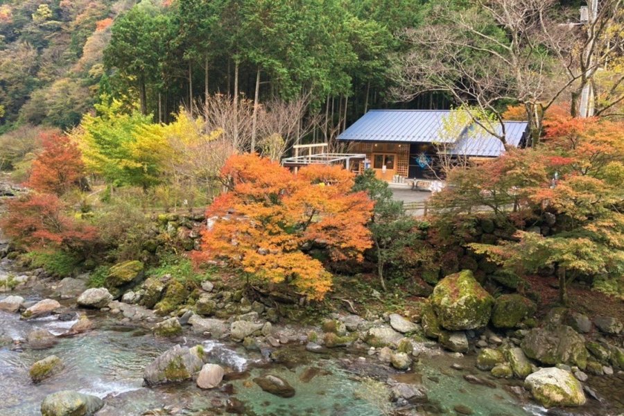 So You Want to Move to Rural Japan