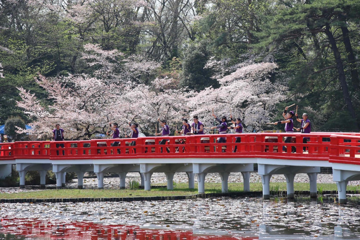 Iwatsuki Castle Park Sakura Festival